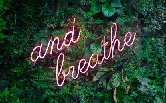 words and breathe in neon against foliage