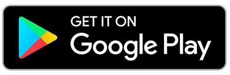 Google Play Store icon