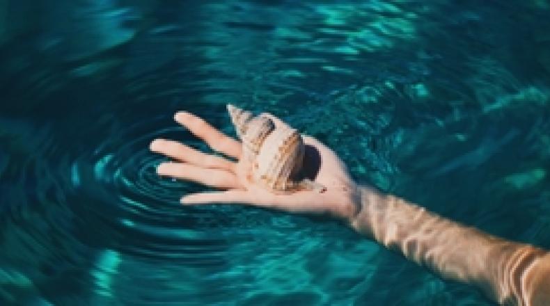 shell resting on hand in water
