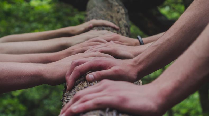 hands on log