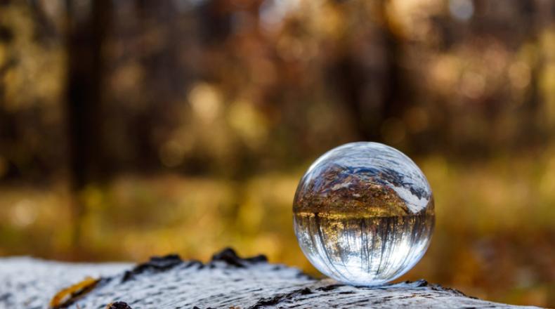 Inverted autumn view in a crystal ball. On a fallen birch tree lies a crystal ball with a reflection of the autumn forest.