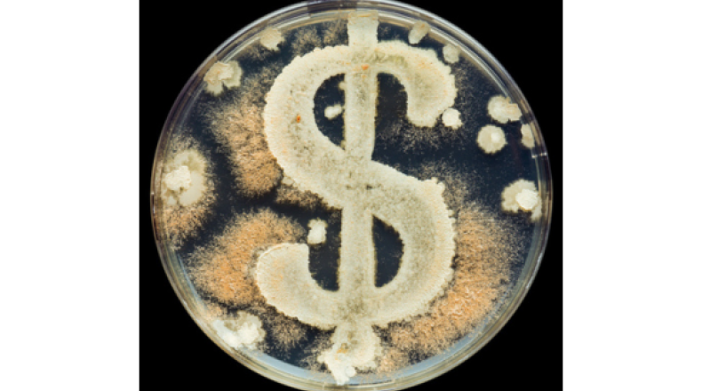 Petri dish filled with several cultures of bacteria in the shape of a dollar sign
