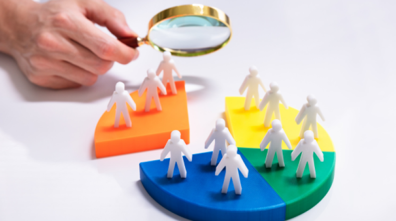 segmentation