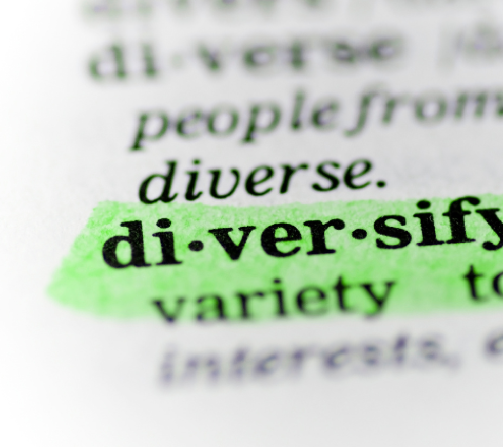 dictionary entry for word diversify