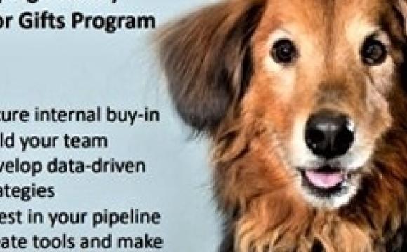 image of dog and text major gifts program