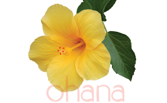 Flower with the word ohana 