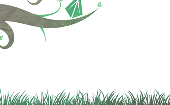 green grass with a tree branch and leaves