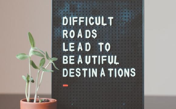 plant next to sign that reads difficult roads lead to beautiful destinations