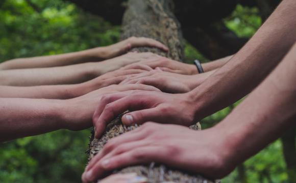 hands on a tree branch