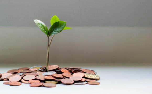 pile of coins with plant growing out from middle