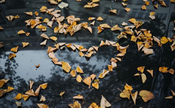 orange fall leaves in shape of heart on black background