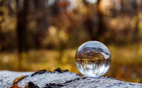 Inverted autumn view in a crystal ball. On a fallen birch tree lies a crystal ball with a reflection of the autumn forest.