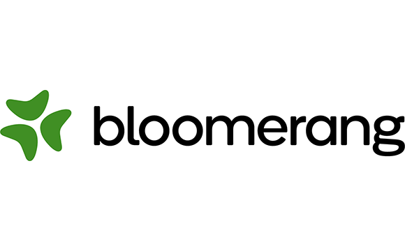 Bloomerang logo