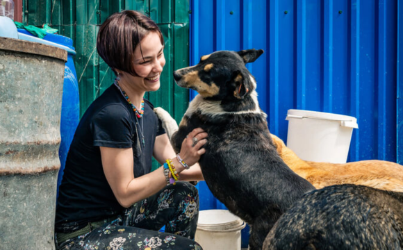 Grant writing for animal nonprofits