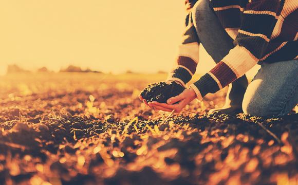 person kneeling by rows of dirt